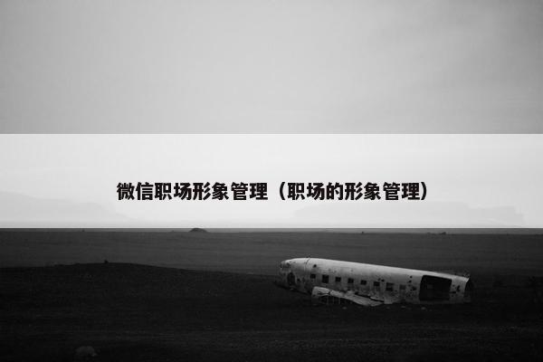 微信职场形象管理（职场的形象管理）