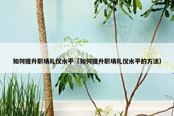 如何提升职场礼仪水平（如何提升职场礼仪水平的方法）