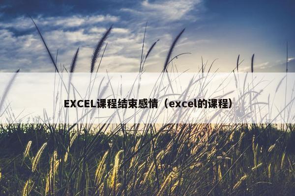 EXCEL课程结束感情（excel的课程）