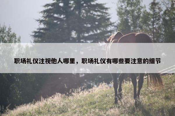 职场礼仪注视他人哪里，职场礼仪有哪些要注意的细节