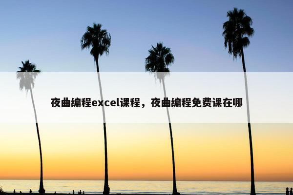 夜曲编程excel课程，夜曲编程免费课在哪
