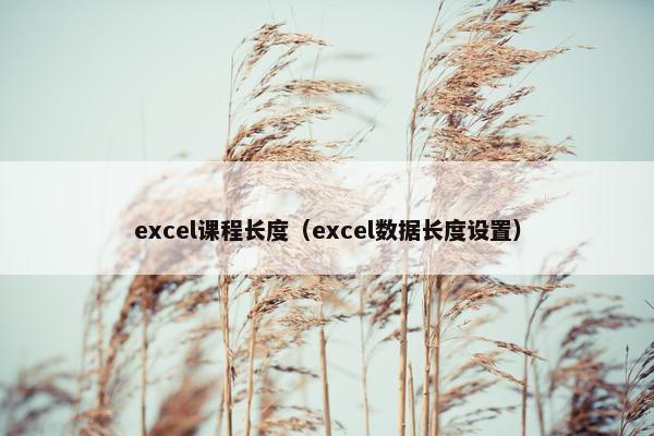 excel课程长度（excel数据长度设置）