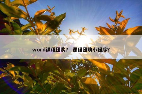 word课程团购？ 课程团购小程序？