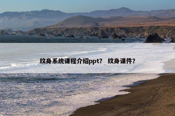 纹身系统课程介绍ppt？ 纹身课件？