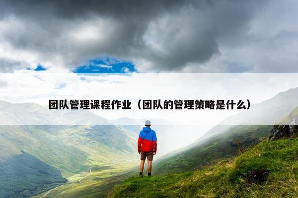 团队管理课程作业（团队的管理策略是什么）