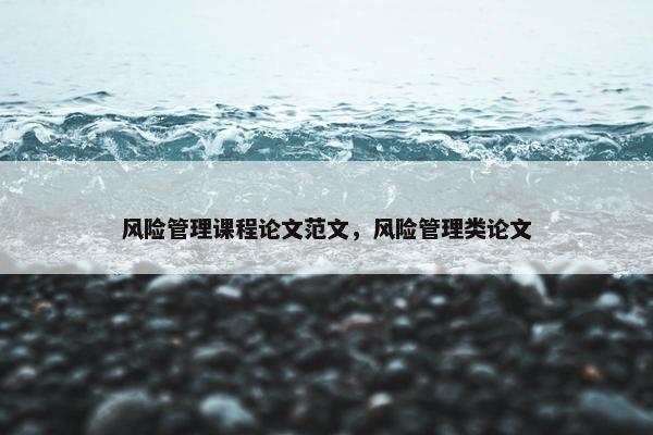 风险管理课程论文范文，风险管理类论文