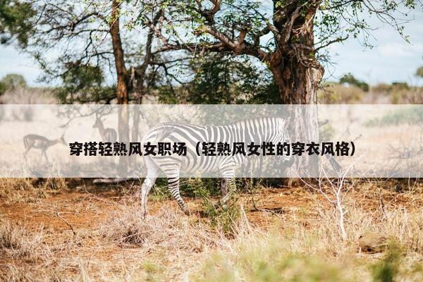 穿搭轻熟风女职场（轻熟风女性的穿衣风格）