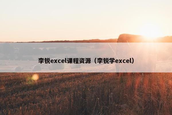 李锐excel课程资源（李锐学excel）