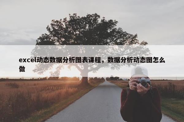 excel动态数据分析图表课程，数据分析动态图怎么做