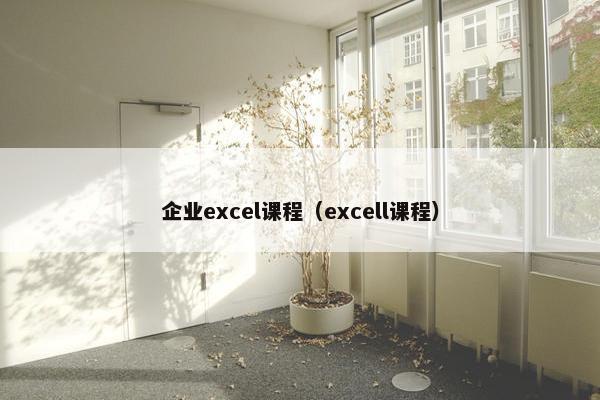 企业excel课程（excell课程）