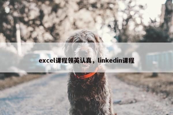excel课程领英认真，linkedin课程