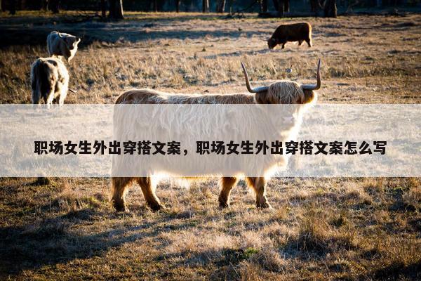 职场女生外出穿搭文案，职场女生外出穿搭文案怎么写