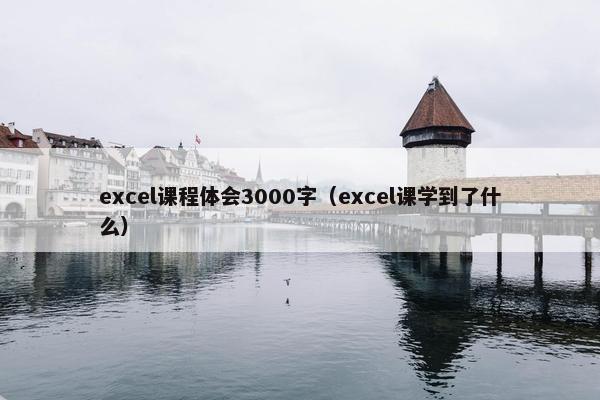 excel课程体会3000字（excel课学到了什么）