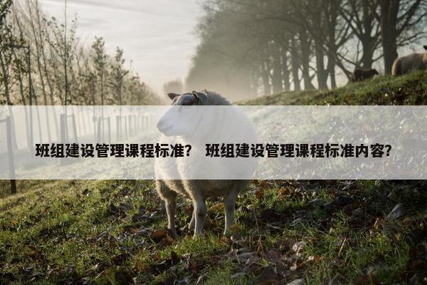 班组建设管理课程标准？ 班组建设管理课程标准内容？