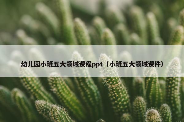 幼儿园小班五大领域课程ppt（小班五大领域课件）
