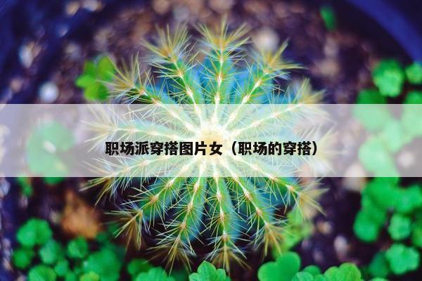 职场派穿搭图片女（职场的穿搭）