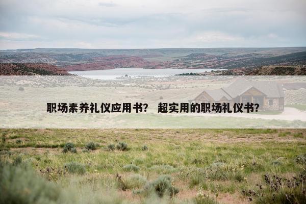 职场素养礼仪应用书？ 超实用的职场礼仪书？
