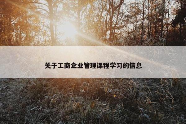 关于工商企业管理课程学习的信息