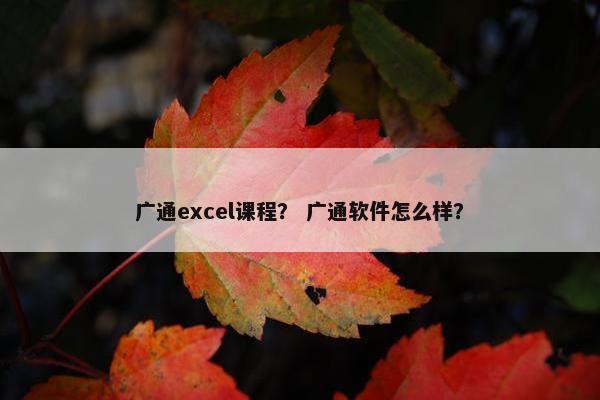广通excel课程？ 广通软件怎么样？