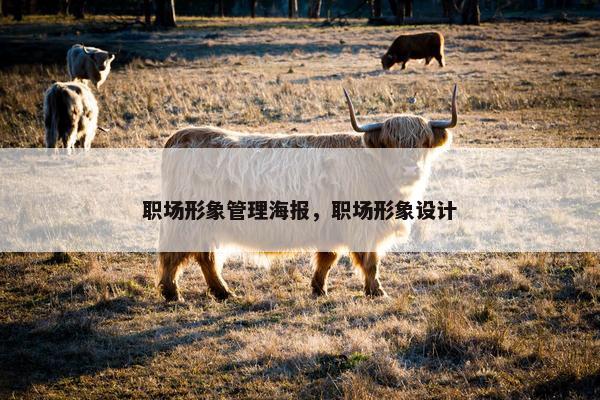 职场形象管理海报，职场形象设计