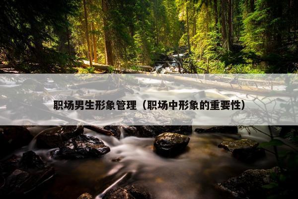 职场男生形象管理（职场中形象的重要性）