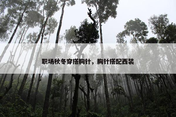 职场秋冬穿搭胸针，胸针搭配西装