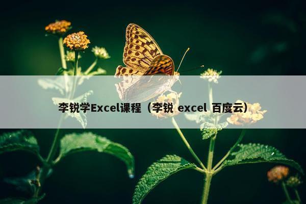 李锐学Excel课程（李锐 excel 百度云）