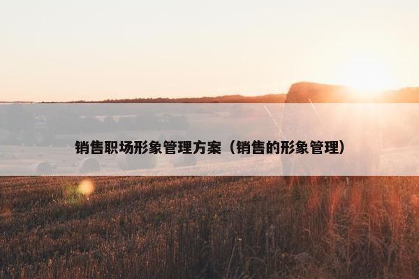 销售职场形象管理方案（销售的形象管理）