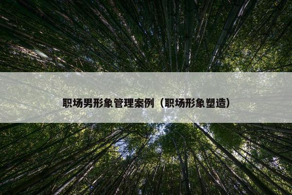 职场男形象管理案例（职场形象塑造）