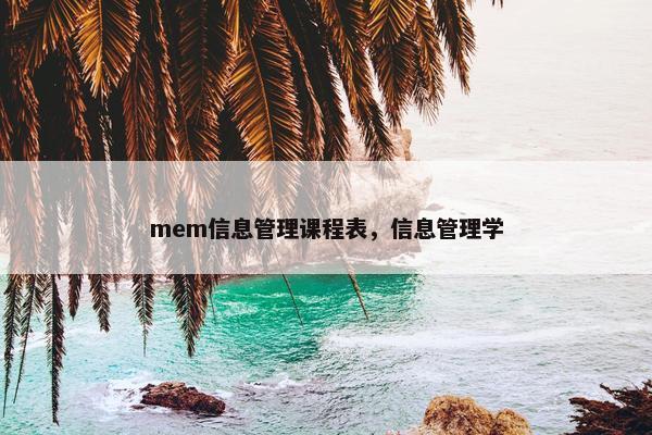 mem信息管理课程表，信息管理学
