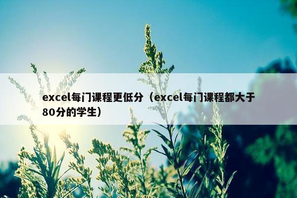 excel每门课程更低分（excel每门课程都大于80分的学生）