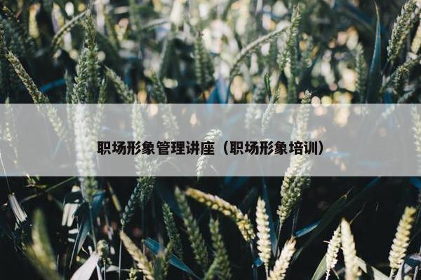 职场形象管理讲座（职场形象培训）