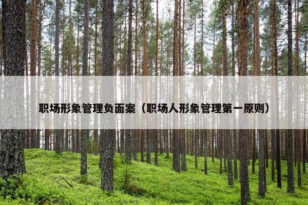 职场形象管理负面案（职场人形象管理第一原则）