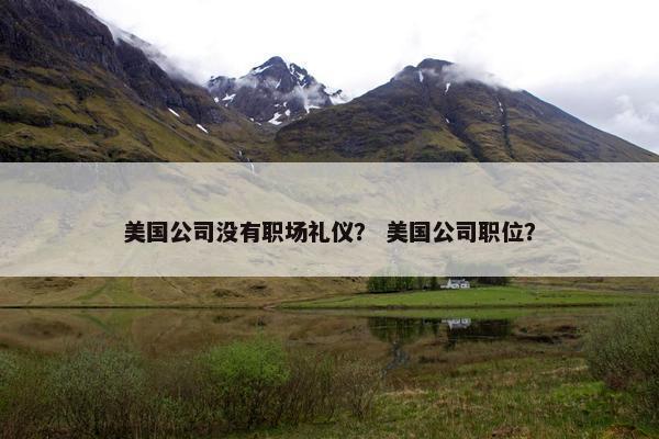 美国公司没有职场礼仪？ 美国公司职位？