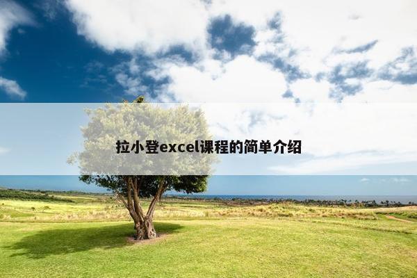 拉小登excel课程的简单介绍