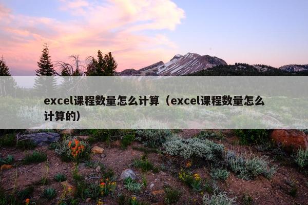 excel课程数量怎么计算（excel课程数量怎么计算的）
