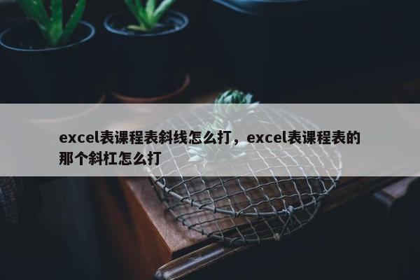 excel表课程表斜线怎么打，excel表课程表的那个斜杠怎么打