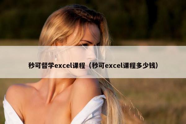 秒可督学excel课程（秒可excel课程多少钱）