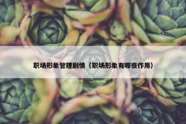 职场形象管理剧情（职场形象有哪些作用）