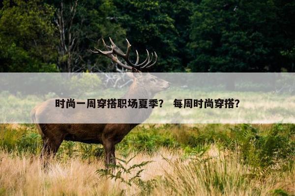 时尚一周穿搭职场夏季？ 每周时尚穿搭？
