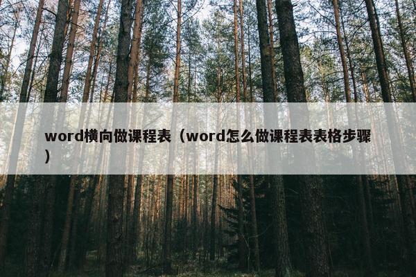 word横向做课程表（word怎么做课程表表格步骤）