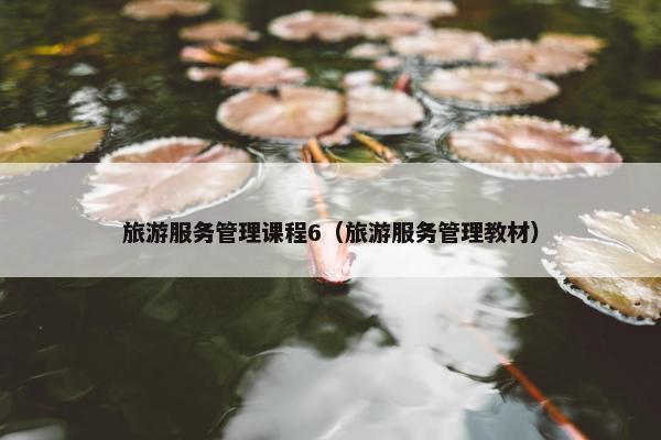 旅游服务管理课程6（旅游服务管理教材）