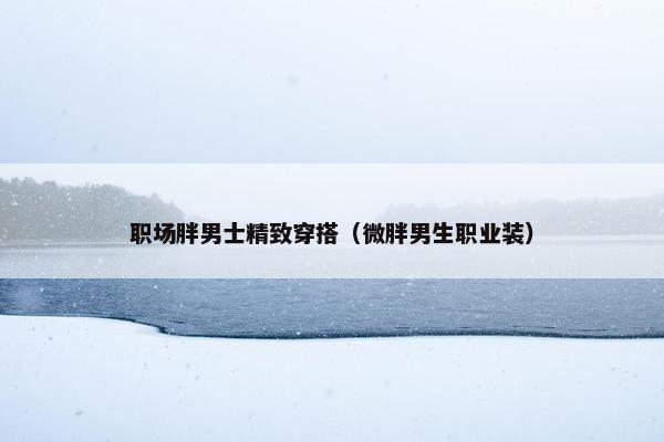 职场胖男士精致穿搭（微胖男生职业装）