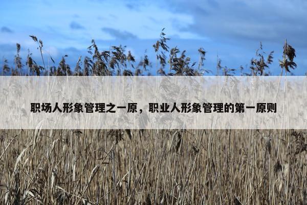 职场人形象管理之一原，职业人形象管理的第一原则