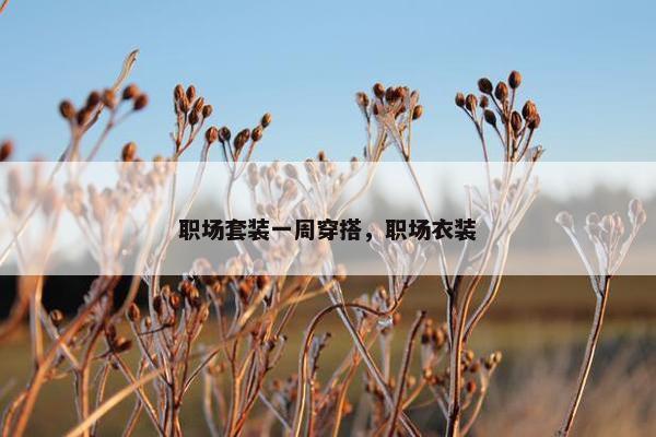 职场套装一周穿搭，职场衣装