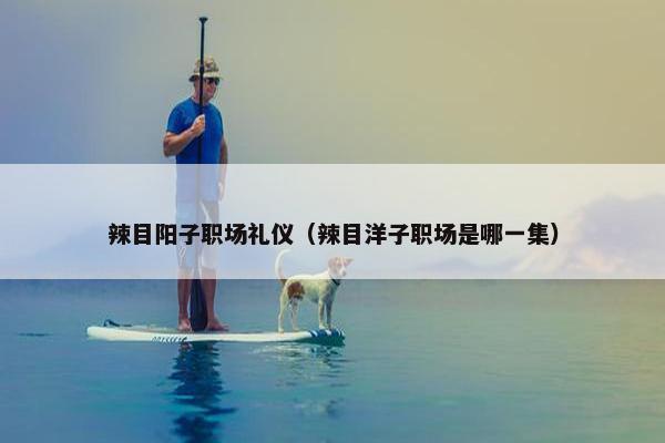 辣目阳子职场礼仪（辣目洋子职场是哪一集）