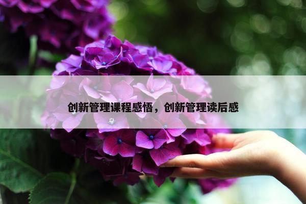 创新管理课程感悟，创新管理读后感