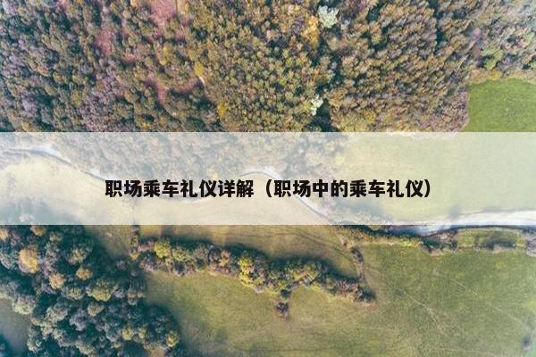 职场乘车礼仪详解（职场中的乘车礼仪）