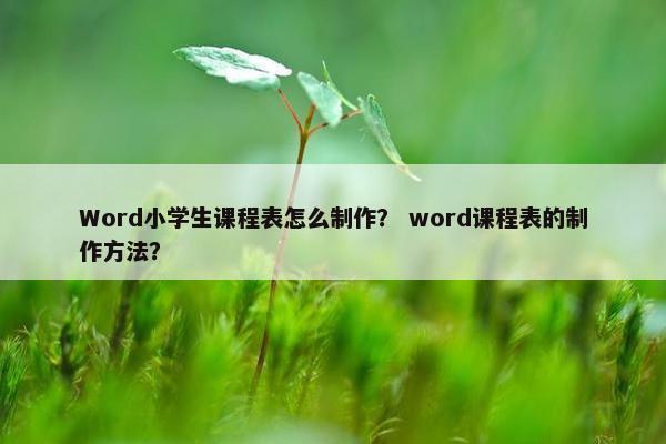 Word小学生课程表怎么制作？ word课程表的制作方法？