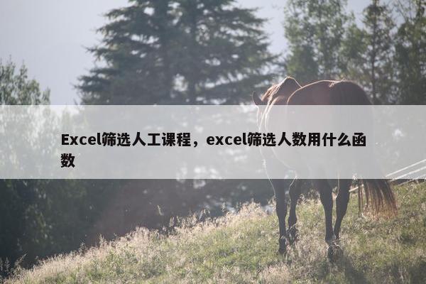 Excel筛选人工课程，excel筛选人数用什么函数